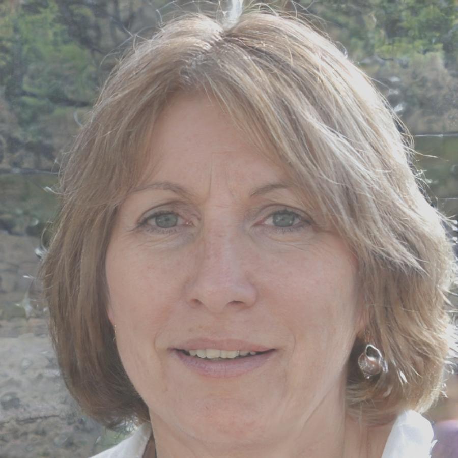 Birte Kronenberg